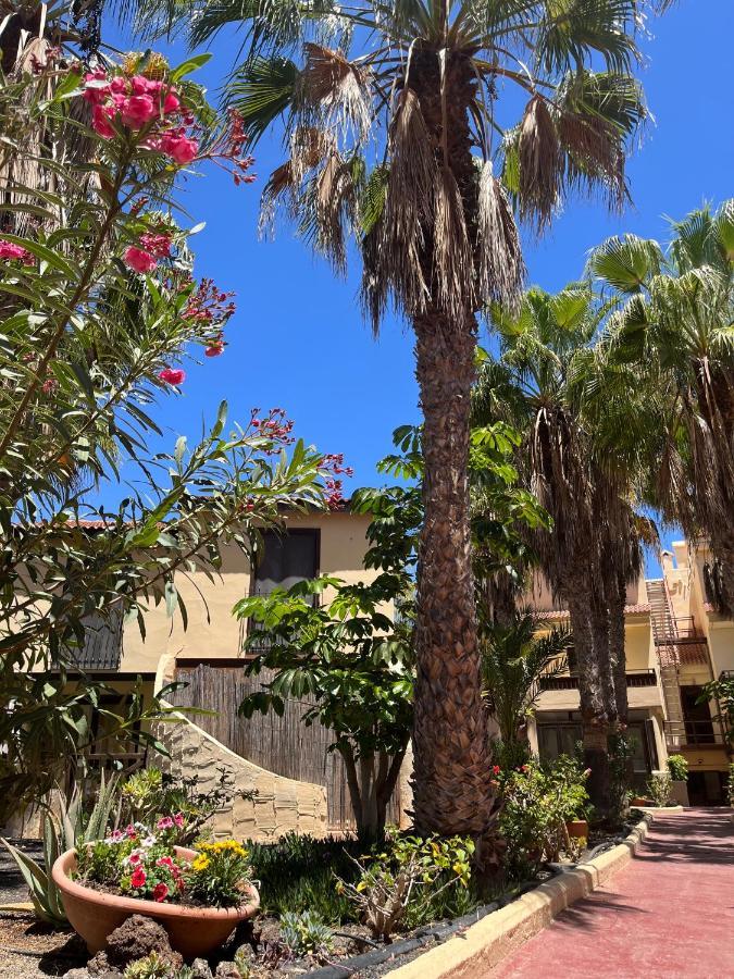 Surf And Chill Bungalow 70 Apartment Parque Holandes Luaran gambar