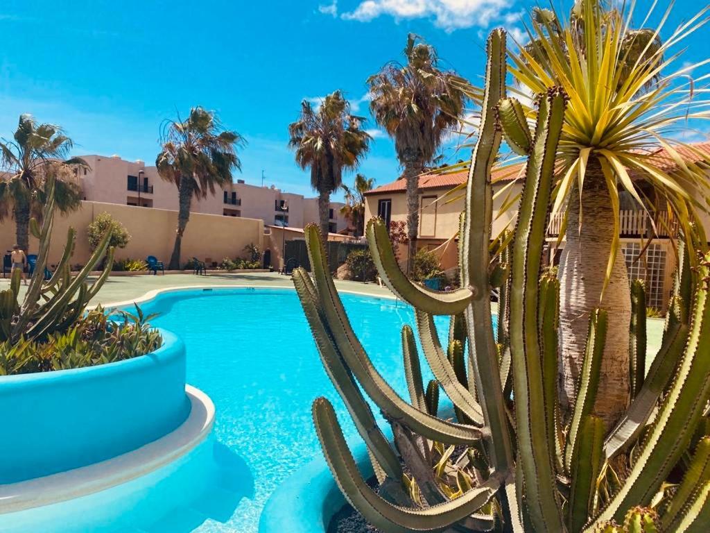 Surf And Chill Bungalow 70 Apartment Parque Holandes Luaran gambar